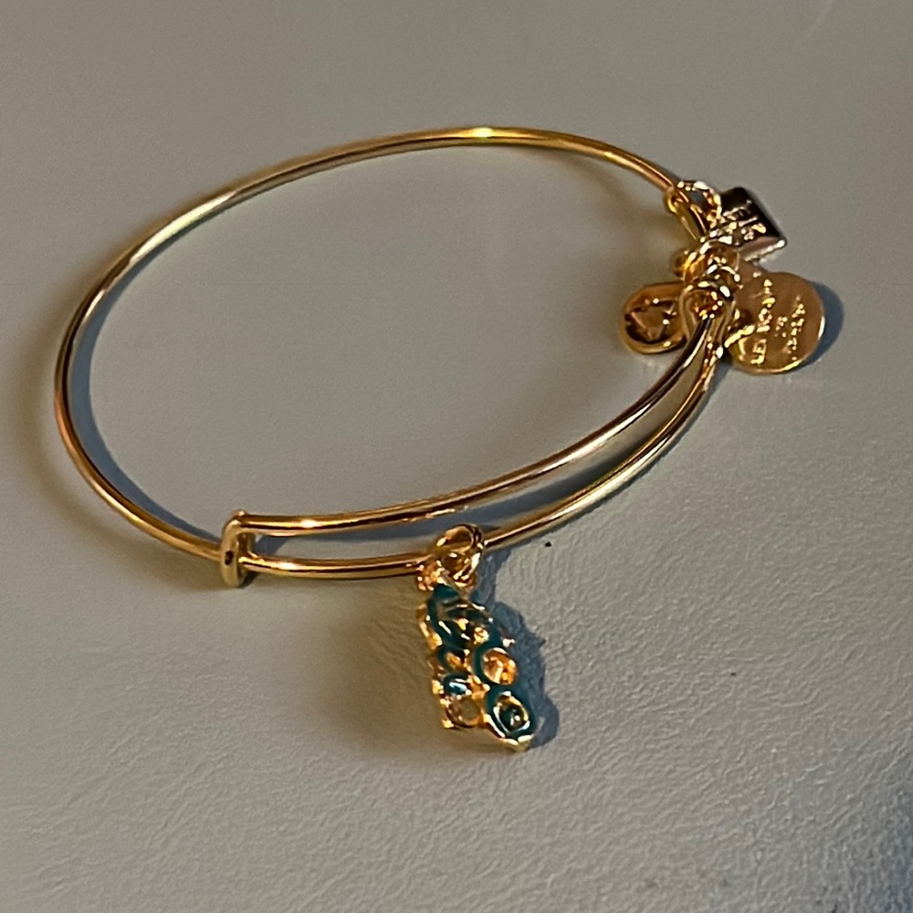 Alex and Ani - Octopus Bracelet